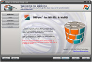 DBSync for MS SQL & MySQL screenshot